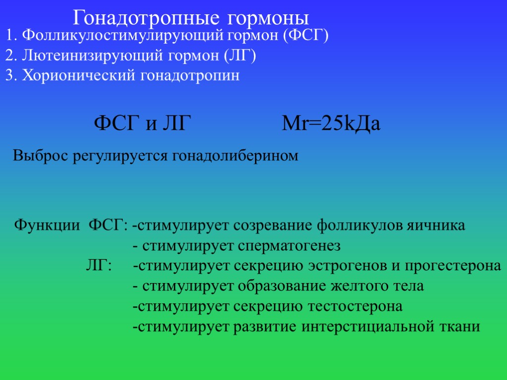 Гонадотропные гормоны 1. Фолликулостимулирующий гормон (ФСГ) 2. Лютеинизирующий гормон (ЛГ) 3. Хорионический гонадотропин ФСГ